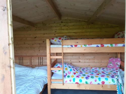two bunk beds in a wooden cabin at Wijndomein de Vier Ambachten -overnachten in de wijngaard in Simonshaven