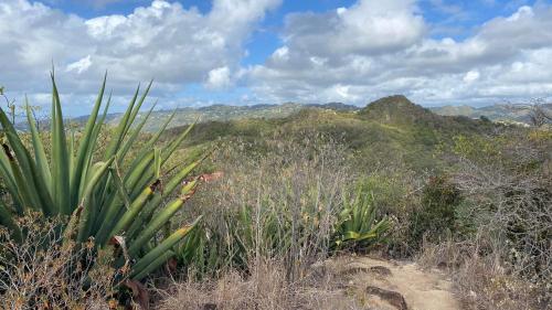 a view from the top of a mountain with plants at Villa Clémence in Le François