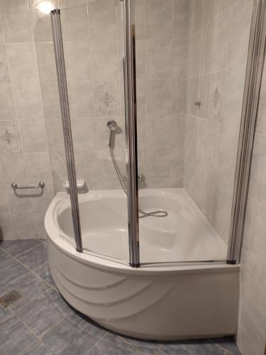 a bath tub with a shower in a bathroom at Family Apartment Maria in Matulji