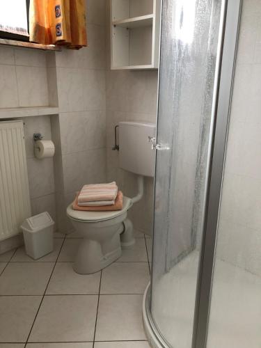 a bathroom with a toilet and a shower at To Hus, Whg 1 in Kellenhusen