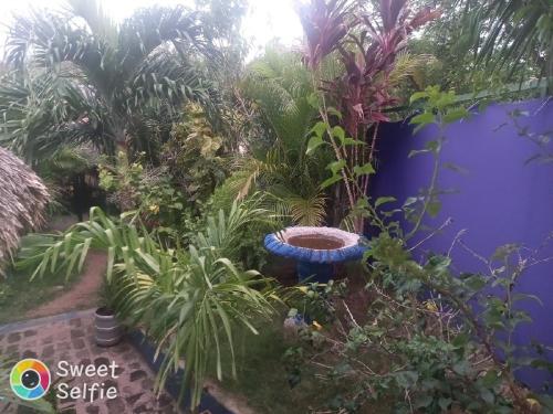 a garden with plants and a blue wall at La Cascada Hostel & Restaurant in Rivas