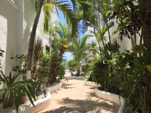 einen Innenhof mit Palmen und ein Gebäude in der Unterkunft Charming Sea Side Ocean Front Condo in Puerto Morelos