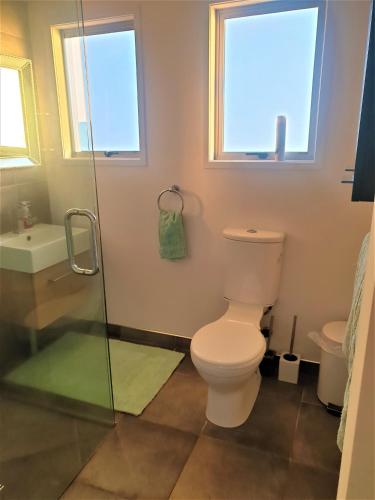 Un baño con inodoro y ducha de cristal. en Serenity Views, en Rotorua