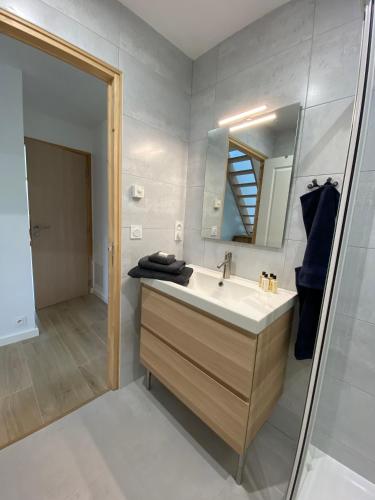 a bathroom with a sink and a shower at Domaine de Kerdavid - Chambres d'hôtes à Remungol in Évellys