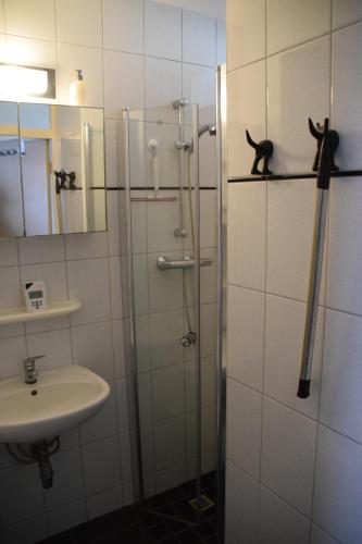 een badkamer met een wastafel en een douche met een kat op een plank bij Duinstraatje 3 in Zoutelande