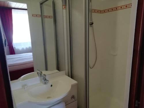 La salle de bains est pourvue d'un lavabo et d'une douche. dans l'établissement Hotel Pfaff, à Triberg