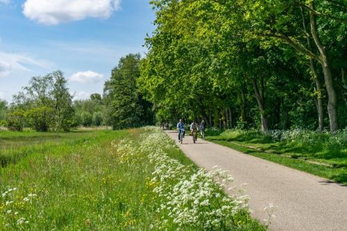 阿姆斯特尔芬EuroParcs Het Amsterdamse Bos的公园里走一条小径的两个人