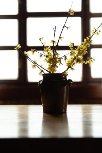 a vase filled with yellow flowers sitting on a table at Piešupīte in Staburags