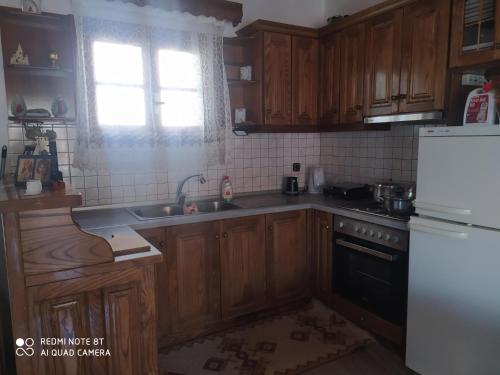 Kuchyň nebo kuchyňský kout v ubytování Villa Magdalini