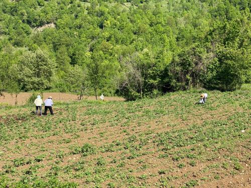 a group of people standing in a field at VILA DISHA in Tirana