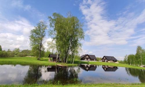 ein Spiegelbild von zwei Häusern und einem Baum in einem See in der Unterkunft Nuogas Briedis in Balninkai