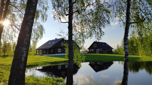 ein Haus im Wald mit einem Teich und Bäumen in der Unterkunft Nuogas Briedis in Balninkai
