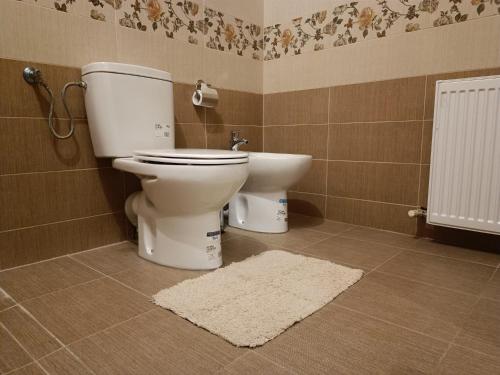 a bathroom with a toilet and a bidet at Moonlight Apartments Sibiu in Sibiu
