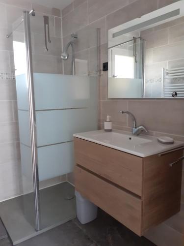 ein Bad mit einem Waschbecken und einer Dusche in der Unterkunft Bompastor in Bompas