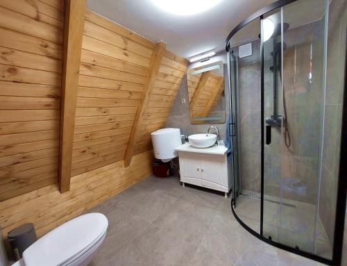 a bathroom with a toilet and a sink and a shower at Edelin Lake House in Szögliget