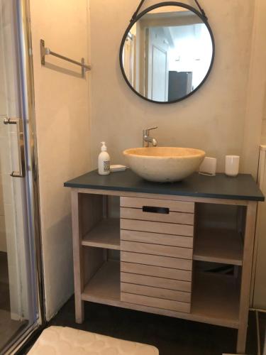 ein Bad mit einem Waschbecken und einem Spiegel in der Unterkunft Gîte la Lezardière accès privé canal du midi ** in Castelnaudary