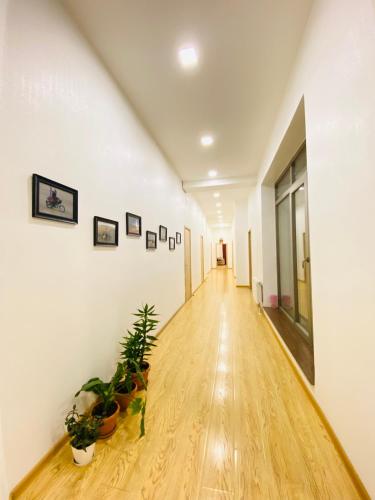 an empty hallway with potted plants on the floor at Gobi-Girl in Ulaanbaatar