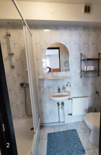 a bathroom with a shower and a sink and a mirror at Pokoje Gościnne Barka - 300m do RESTAURACJI - 900m do JEZIORA i VELO CZORSZTYN in Kluszkowce