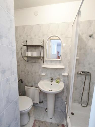 a bathroom with a sink and a toilet and a mirror at Pokoje Gościnne Barka - 300m do RESTAURACJI - 900m do JEZIORA i VELO CZORSZTYN in Kluszkowce