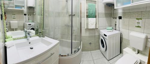 Ένα μπάνιο στο Apartment Tashi, Korzo - Rijeka, 2 bedrooms