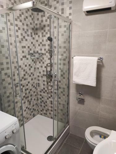 a bathroom with a shower and a toilet at Apartment Eva in Pula