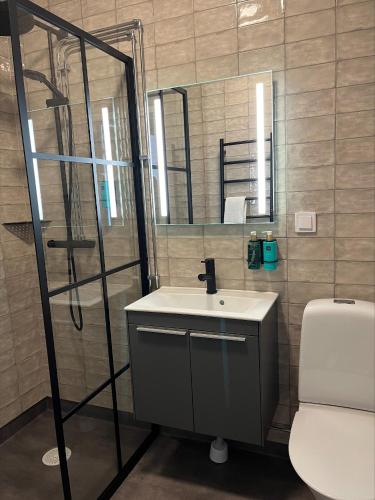 a bathroom with a sink and a mirror and a toilet at Hotell & Bistro Rödesund in Karlsborg