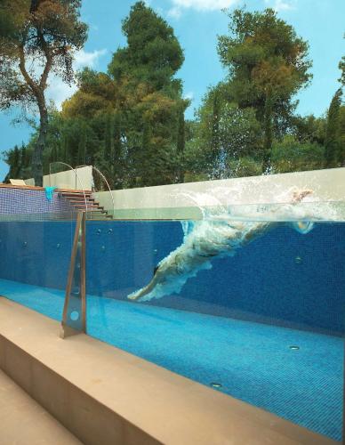 a dolphin is swimming in a swimming pool at Life Gallery Athens in Athens