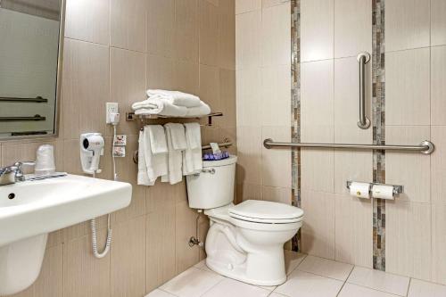 a bathroom with a toilet and a sink and a shower at Econo Lodge in Hicksville