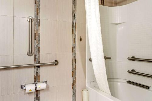 a bathroom with a shower and a tub and a toilet at Econo Lodge in Hicksville