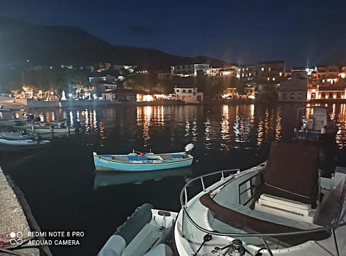 a group of boats in the water at night at Panorama Apartments in Asos