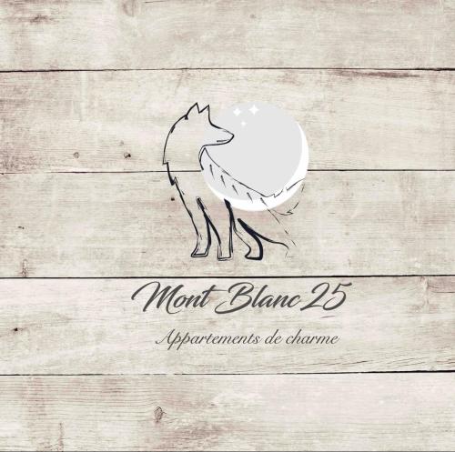 Mont Blanc 25, vue Mont blanc, balcon, parking