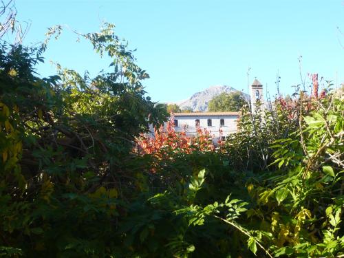 a building with a clock tower behind some plants at Casa Balduina in Calacuccia