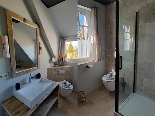 a bathroom with a sink and a shower and a toilet at BooHouse in Zingst