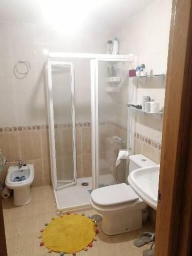 ein Bad mit einer Dusche, einem WC und einem Waschbecken in der Unterkunft Piso en Raxó in Raxo