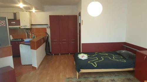 a small room with a bed and a kitchen at Lexington Apartments in Cluj-Napoca