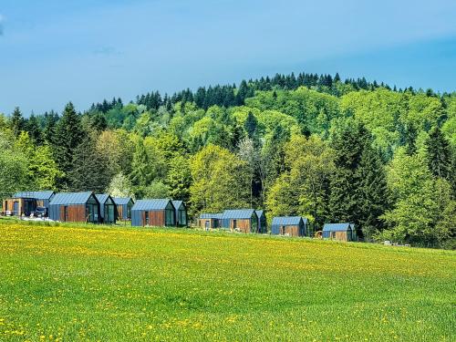 Afbeelding uit fotogalerij van Klimkówka Pod Gwiazdami in Klimkówka