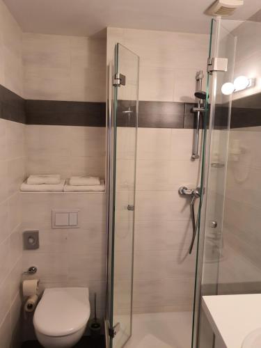 ein Bad mit einem WC und einer Glasdusche in der Unterkunft Hotel Friedensbruecke in Greiz