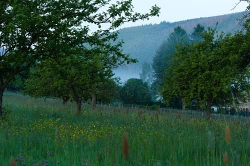 een grasveld met bomen en bloemen bij Ferienwohnung Reinette in Lippoldsberg