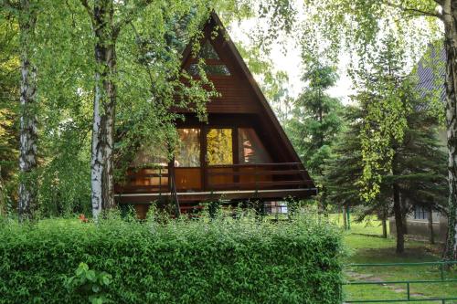 a cabin in the middle of a forest at Utca végi házikó in Ásványráró
