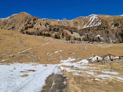 a polar bear walking down a snow covered road at Mary House in Sondrio