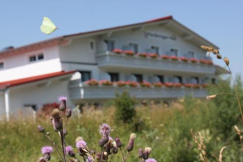 a butterfly flying in front of a building at Farbinger Hof in Bernau am Chiemsee