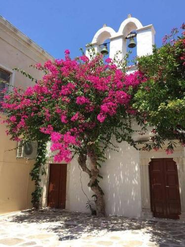 Φωτογραφία από το άλμπουμ του Evilou's House σε Krotiri