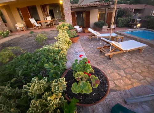 un cortile con piscina, tavolo e alcune piante di VILLA ALICE-INFINITYHOLIDAYS a Costa Paradiso