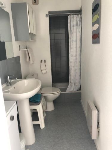 une salle de bain avec un lavabo, des toilettes et une douche dans l'établissement Carnac plage T2 avec terrasse Pour 4 personnes, à Carnac