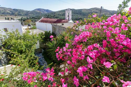 um ramo de flores cor-de-rosa em frente a um edifício em Villa Vienna em Káto Viánnos