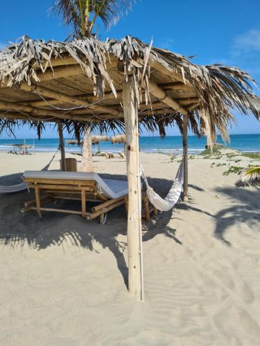 a hammock and a hut on a beach at Maracol Bungalows Vichayito in Vichayito