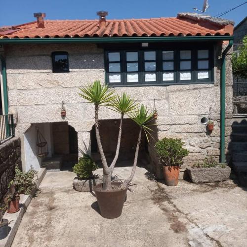 a house with potted plants in front of it at Casinha da Horta com Jacuzzi in Soajo