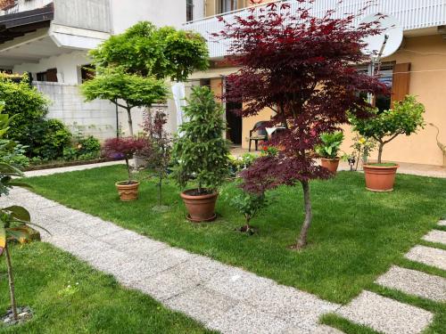 a garden with trees in pots on the grass at Sensory Garden in San Daniele del Friuli