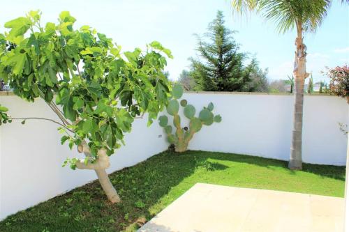 Poggio Angica – Photos 5