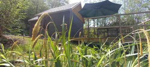La cabane de Léon